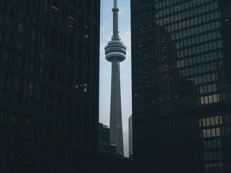 Vision for the Future